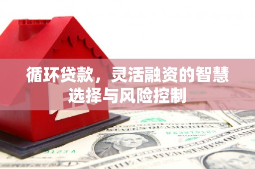 太保循环贷款，灵活融资的智慧选择与风险控制