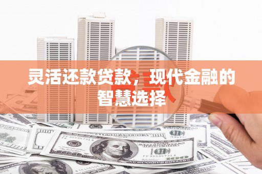 太保灵活还款贷款，现代金融的智慧选择