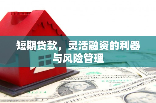 太保短期贷款，灵活融资的利器与风险管理