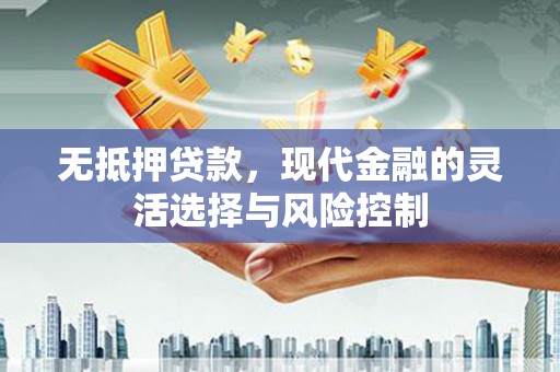 太保无抵押贷款，现代金融的灵活选择与风险控制