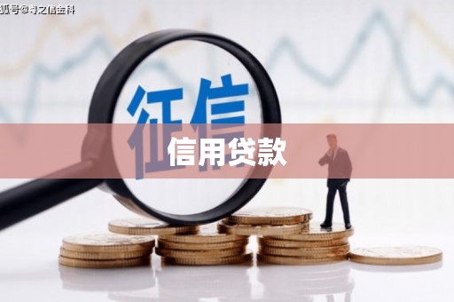 太保信用贷款