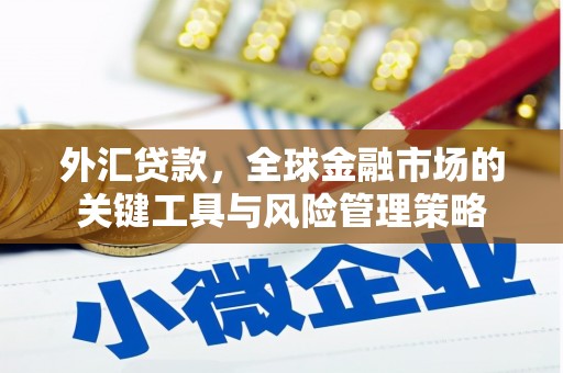 太保外汇贷款，全球金融市场的关键工具与风险管理策略