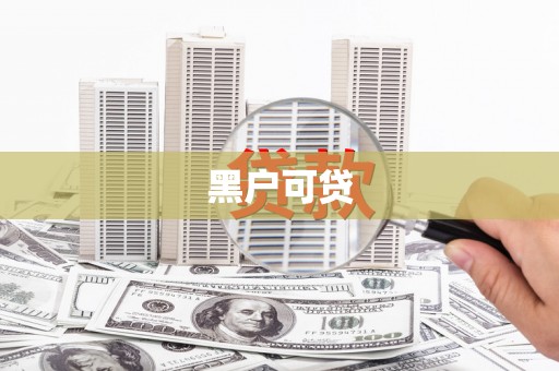 太保黑户可贷