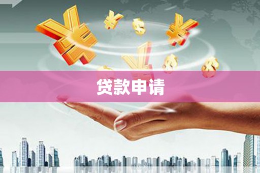 太保贷款申请