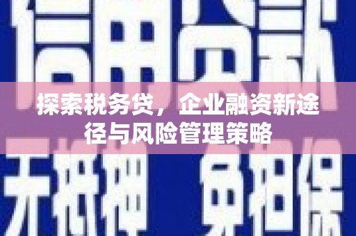 太保探索税务贷，企业融资新途径与风险管理策略