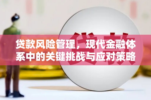 太保贷款风险管理，现代金融体系中的关键挑战与应对策略