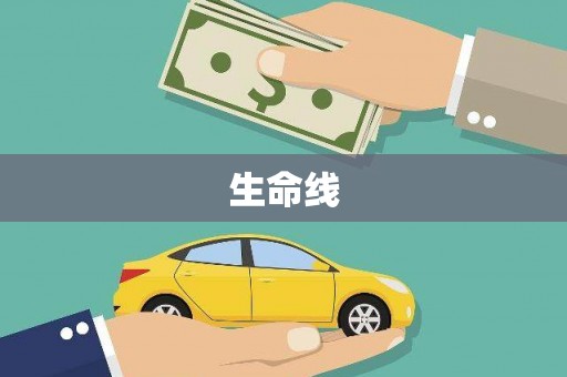 太保生命线