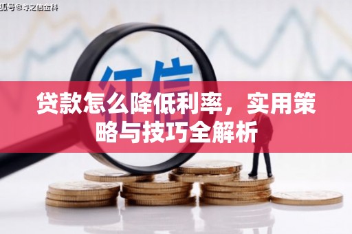 太保贷款怎么降低利率，实用策略与技巧全解析