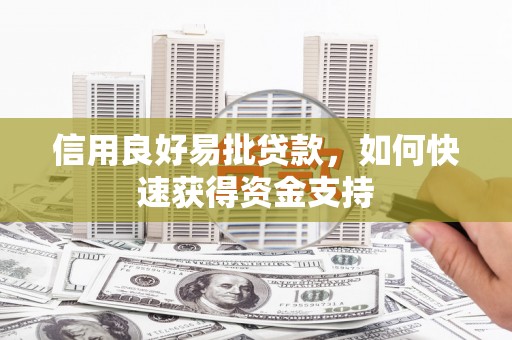 太保信用良好易批贷款，如何快速获得资金支持