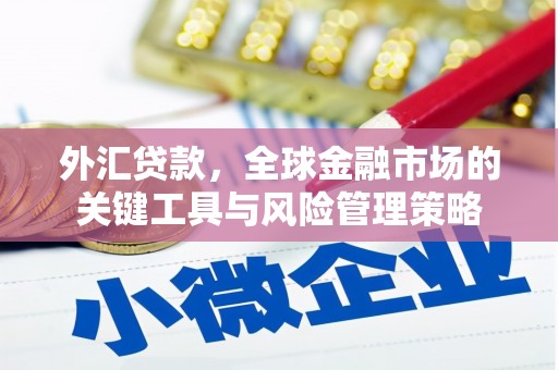 太保外汇贷款，全球金融市场的关键工具与风险管理策略