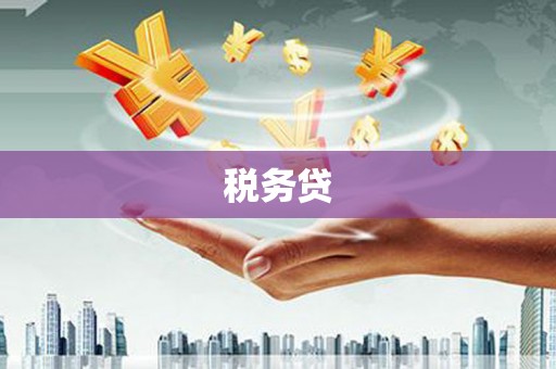 太保税务贷