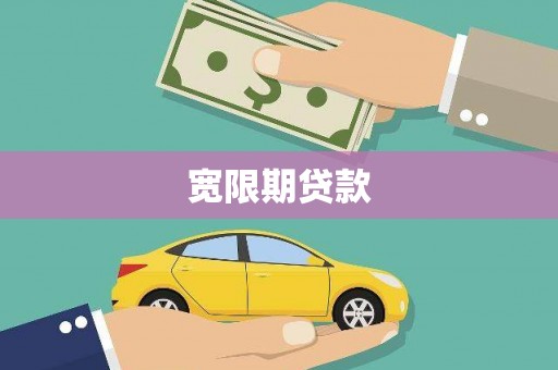 太保宽限期贷款