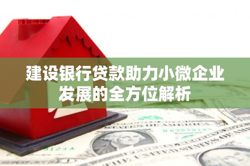 太保建设银行贷款助力小微企业发展的全方位解析