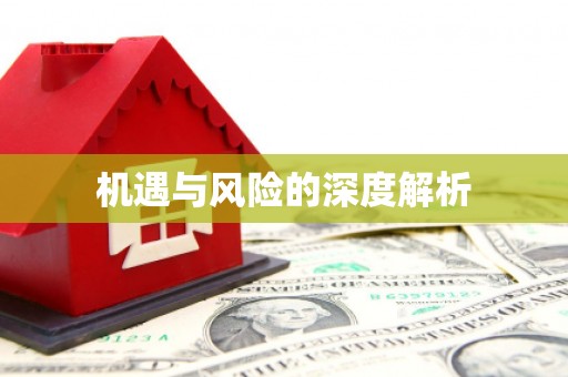 太保机遇与风险的深度解析