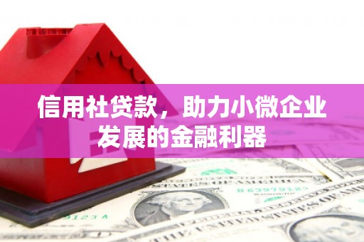 太保信用社贷款，助力小微企业发展的金融利器