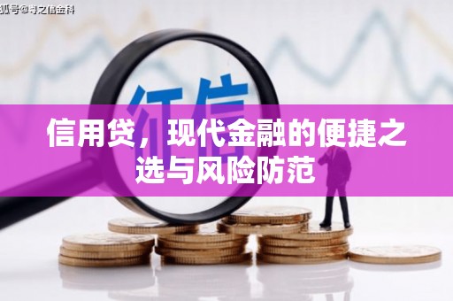 太保信用贷，现代金融的便捷之选与风险防范
