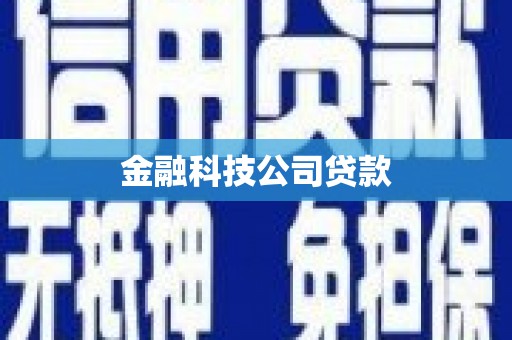 太保金融科技公司贷款
