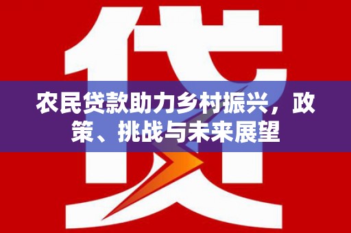 太保农民贷款助力乡村振兴，政策、挑战与未来展望