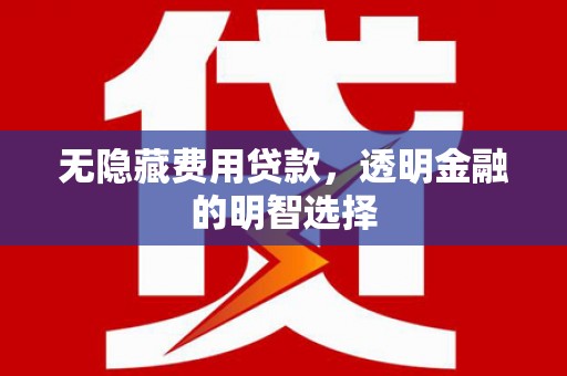 太保无隐藏费用贷款，透明金融的明智选择