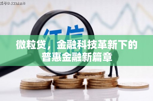 太保微粒贷，金融科技革新下的普惠金融新篇章