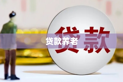 太保贷款养老