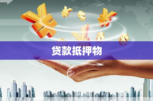 太保贷款抵押物