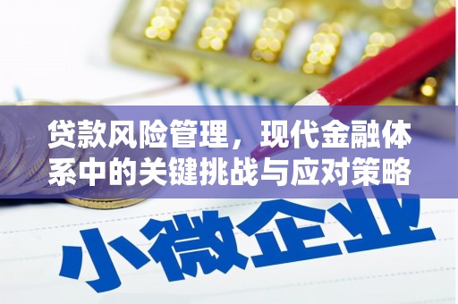 太保贷款风险管理，现代金融体系中的关键挑战与应对策略