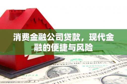 太保消费金融公司贷款，现代金融的便捷与风险