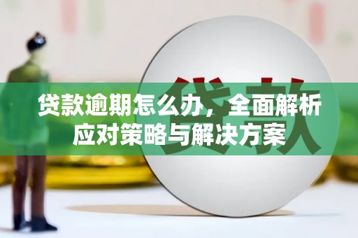 太保贷款逾期怎么办，全面解析应对策略与解决方案