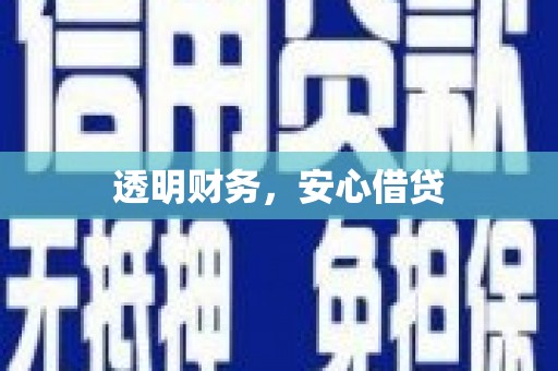 太保透明财务，安心借贷