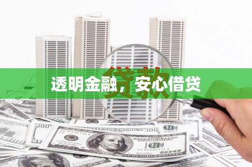 太保透明金融，安心借贷