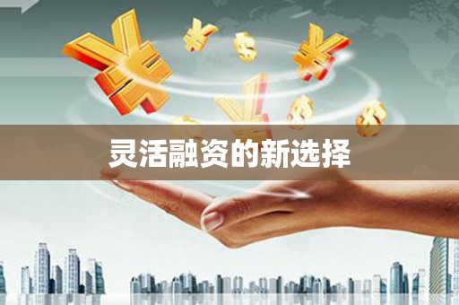 太保灵活融资的新选择