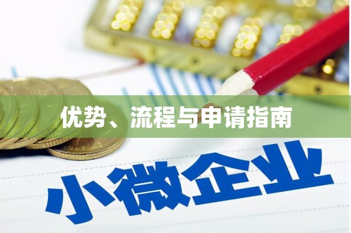 太保优势、流程与申请指南