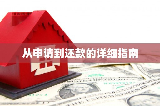 太保从申请到还款的详细指南