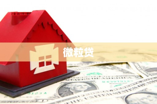 太保微粒贷