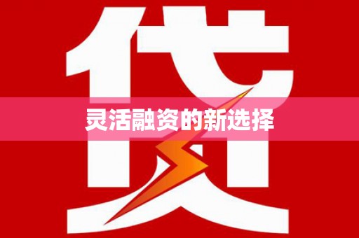 太保灵活融资的新选择