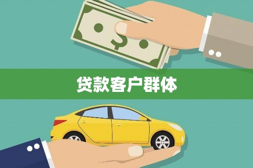 太保贷款客户群体