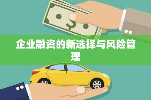 太保企业融资的新选择与风险管理