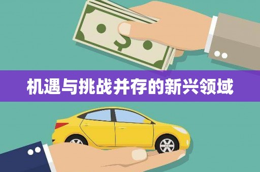 太保机遇与挑战并存的新兴领域