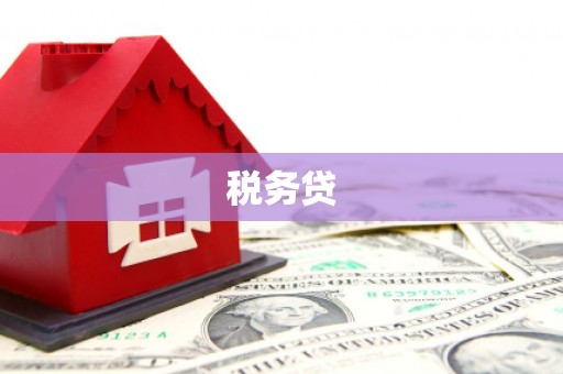 太保税务贷