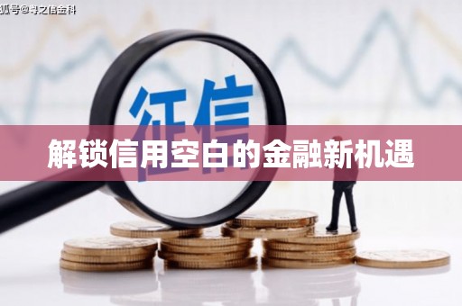 太保解锁信用空白的金融新机遇