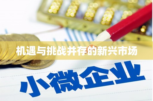 太保机遇与挑战并存的新兴市场