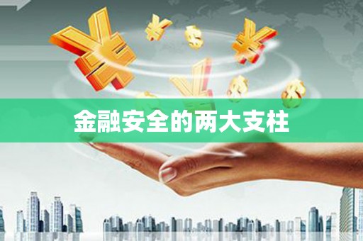 太保金融安全的两大支柱