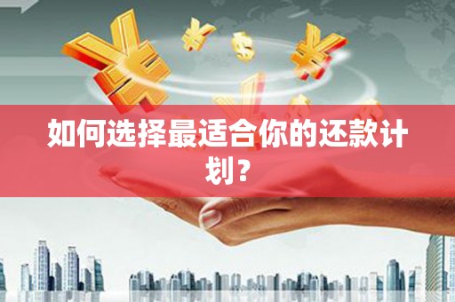 太保如何选择最适合你的还款计划？