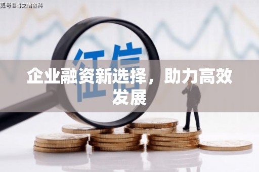 太保企业融资新选择，助力高效发展