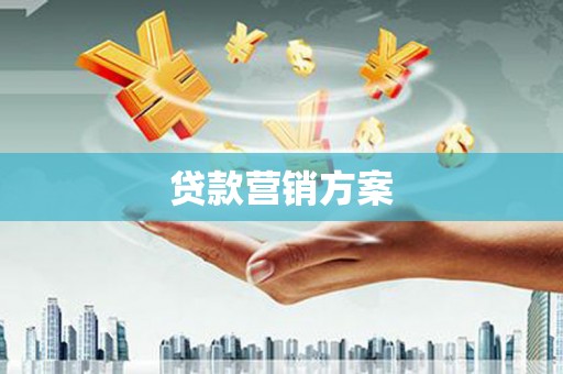 太保贷款营销方案